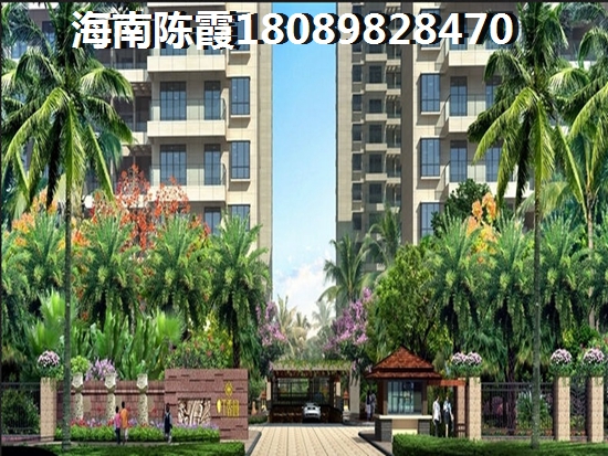 2021年儋州的房子生紙的空間大嗎？