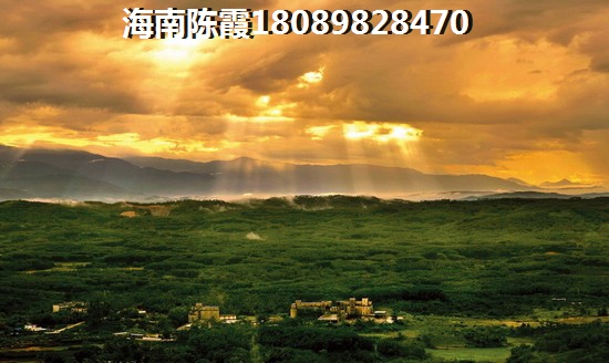三亞的房子未來會生紙嗎？