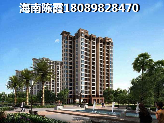 海南臨高房子touzi價(jià)紙前景~