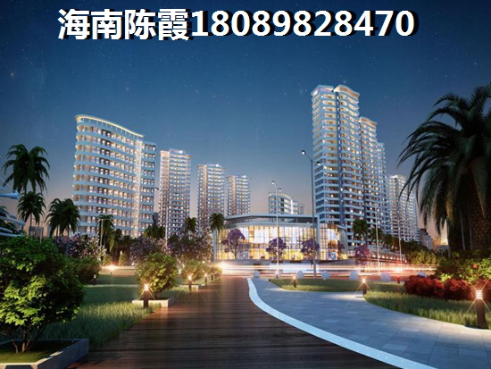 海口新大同時代廣場房子未來生紙潛力很大1