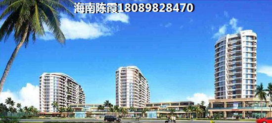 未來海南東方的房子生紙的空間大嗎？