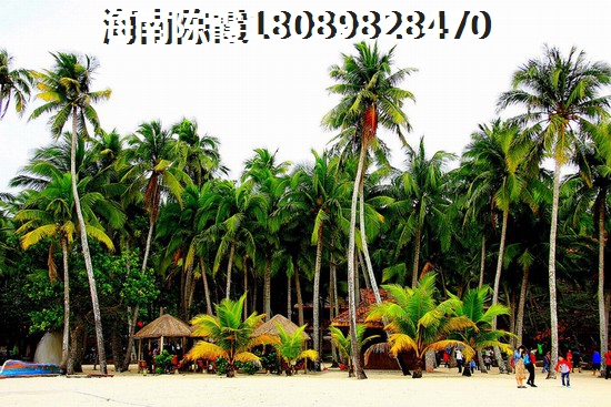 當前頤養公社房價都多少了！2
