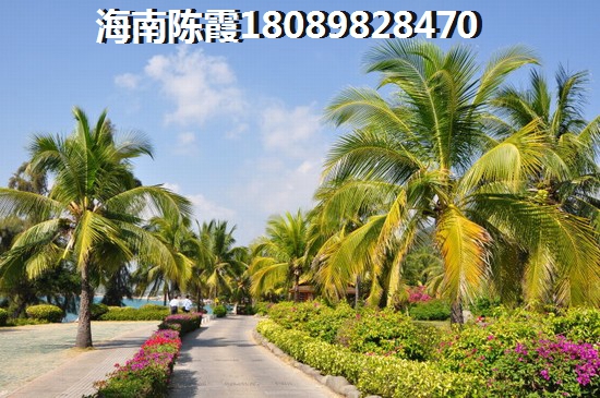 澄邁房價上漲主要因素！