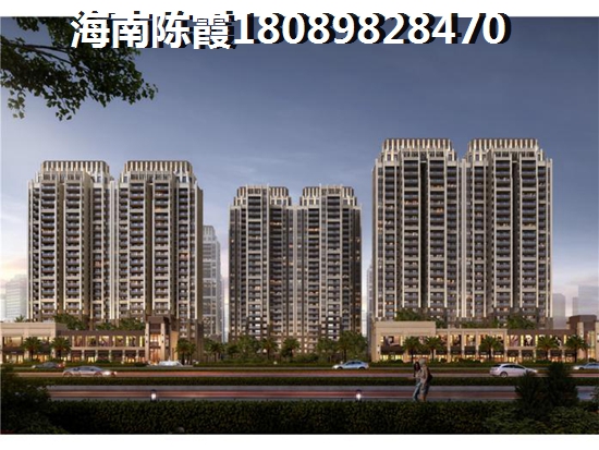 >2024儋州購房分析