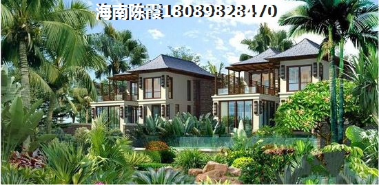 >2024?？谫彿恐改? title=