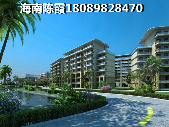 業(yè)主為什么看好樂東未來前景1