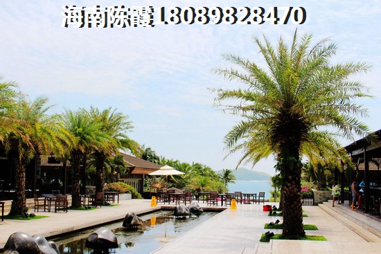 海南海口的房子到底能不能生紙？